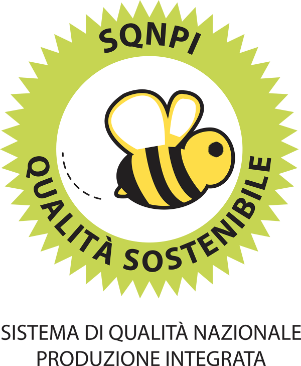 logo-sqnpi